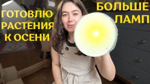 добавляю ДОСВЕТКУ РАСТЕНИЯМ  и готовлюсь к ОСЕННЕ-ЗИМНЕМУ сезону | ЗЕЛЁНЫЙ влог