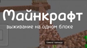 Майнкрафт Выживание на одном блоке