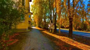 Осенними дорожками по городу, Асбест, Средний Урал🌾🌲🍁🍂🌳🌱🌼🍂