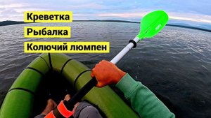 Ночью креветки а днём рыбалка! Впервые попробовал колючего люмпена! Обзор AEROGOGO GIGA PUMP 4.0.