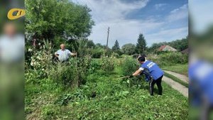 В ЖЕЛЕЗНОГОРСКОМ РАЙОНЕ ПРОХОДИТ БЛАГОТВОРИТЕЛЬНАЯ АКЦИЯ "С ЗАБОТОЙ О ЛЮДЯХ"