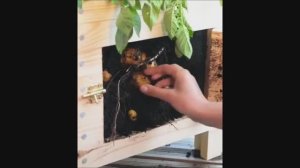 Подборка полезных лайфхаков и самоделок для тебя