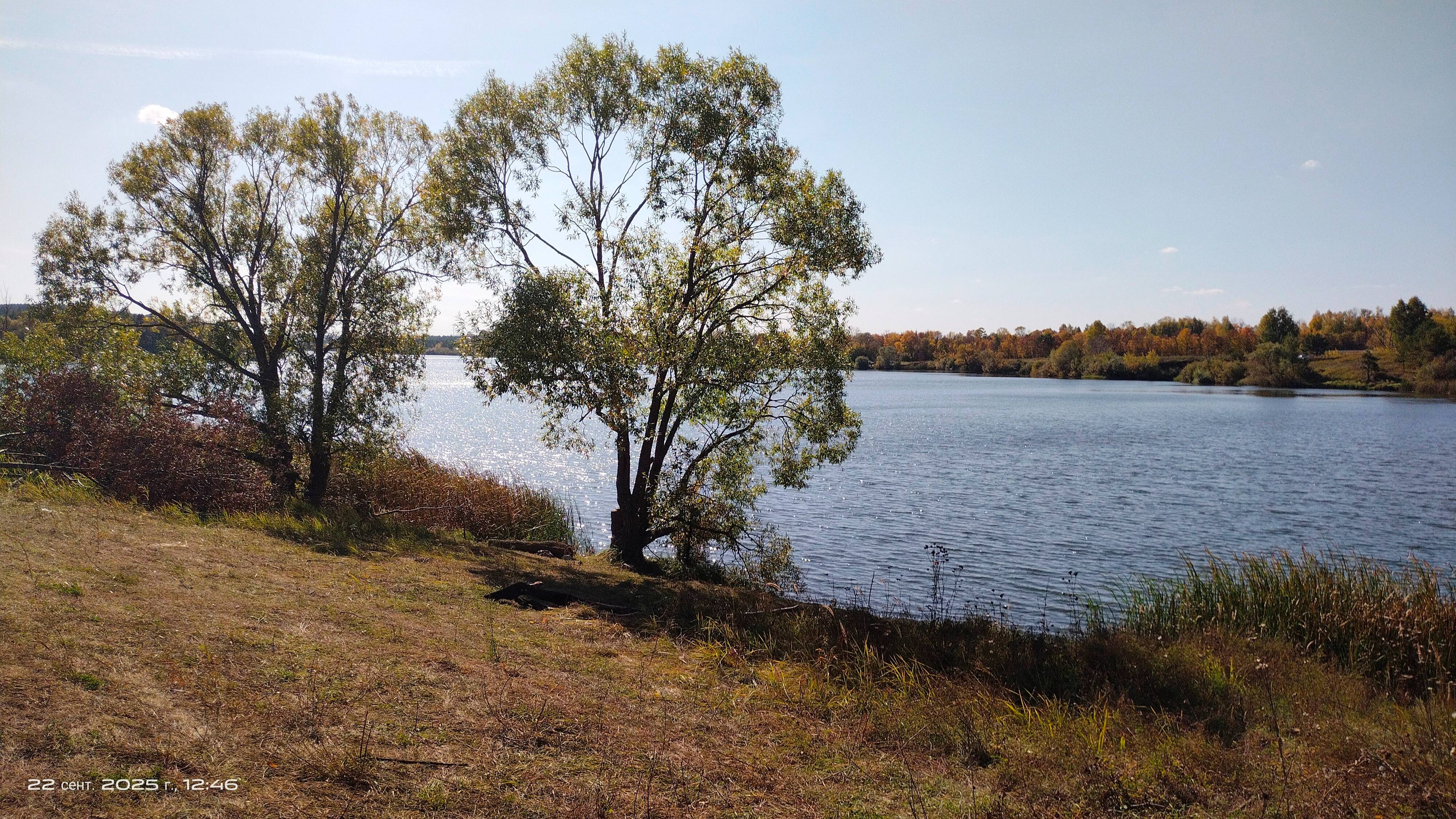 Чаадаевский пруд.🐳