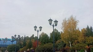 1000005444.mp4 Эмблема зоопарка