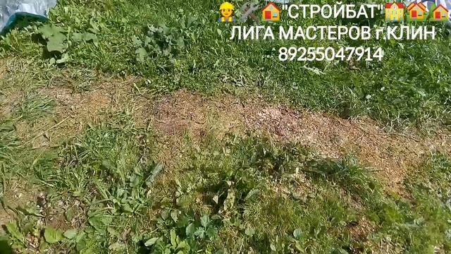 InShot_20250818_131849206 смотреть онлайн