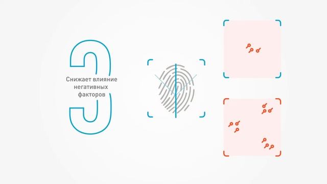 Папилон-Нейро смотреть онлайн