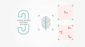 Папилон-Нейро