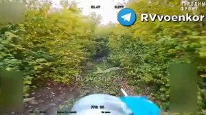 украинец гулял с собакой в Сумской области и встретил неожиданного «прохожего»