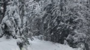 Зимняя сказка