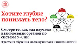 Хотите глубже понимать тело? Смотрите, как мы изучаем взаимосвязи органов по системе У-Син.