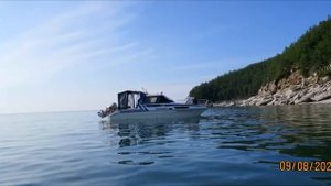 Выйду ночью в море с китом