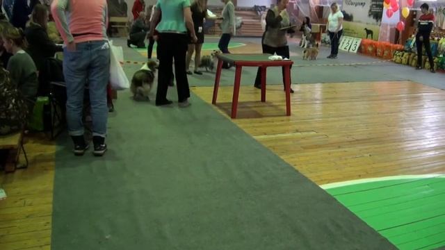 Тверь 24 03 2019 часть 2 - Русский Версаль 720p