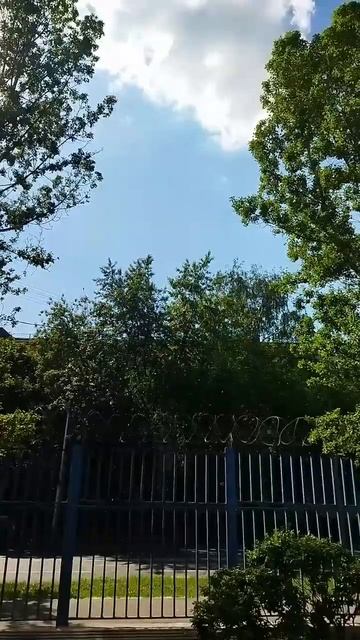 shortsЛя Ля Тополя shorts