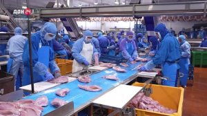 От виноградников до новых заводов