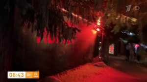 Зрителей на премьере триллера "Август" встречал настоящий лес: кадры