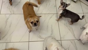 Все им надо выпросить.