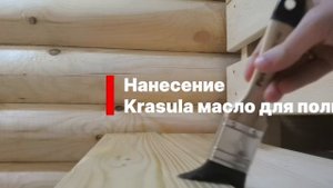 Почему баню нужно обрабатывать защитными составами?