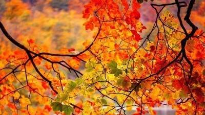 ОКТЯБРЬ--ДЕВА(таро)