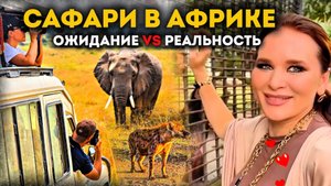Сафари в Камеруне: ожидание vs. реальность