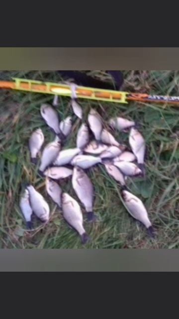 Немного после работы порыбачил на Старице🎣 Рыбалка на поплавок 🎣 Маховое удилище 🎣