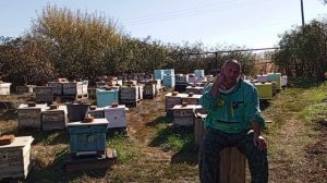 функционал инкубатора для маток