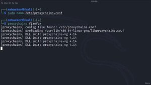 121 Проксичейны с Nmap