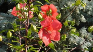 21..09..2025  кмр   (90)