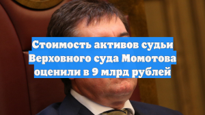 Стоимость активов судьи Верховного суда Момотова оценили в 9 млрд рублей