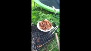 КАРП ПО УЗБЕКСКИ