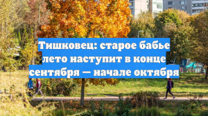 Тишковец: старое бабье лето наступит в конце сентября — начале октября