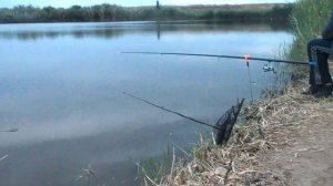 Не судите меня люди не судите