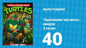 Черепашки-мутанты-ниндзя 3 сезон 40 серия (мультсериал, 1989)