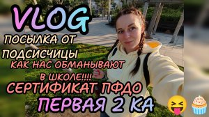 Новый учитель 🧐первая 2 у Ариэллы 😝 сертификат ПФДО... Или как нас пытаются обманывать в школе