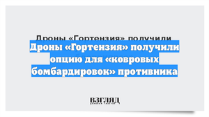 Дроны «Гортензия» получили опцию для «ковровых бомбардировок» противника