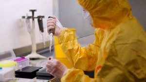 Ученые с помощью ИИ создали вирусы, убивающие бактерии