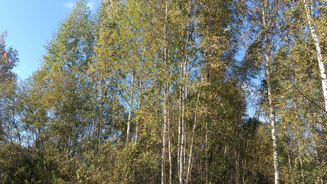 Вместе веселей. Работа  на огороде не кончается. И это хорошо.