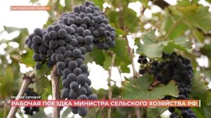 Ростов сегодня: дневной выпуск. 23 сентября 2025