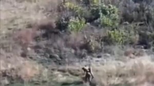 Подвиги наших ребят и командиров в зоне СВО!