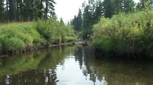 Затерянный мир Илимпеи 4 часть