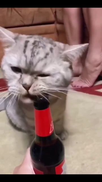 2025-09-23 смотреть онлайн