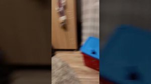 выполняем задания