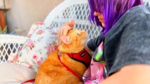 США VLOG Вот и осень наступила 🍂