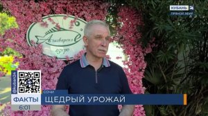 В Сочи прошел первый в России агрофорум «День субтропического поля»