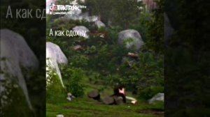 Я живу пока не здохну акак здохну аживу