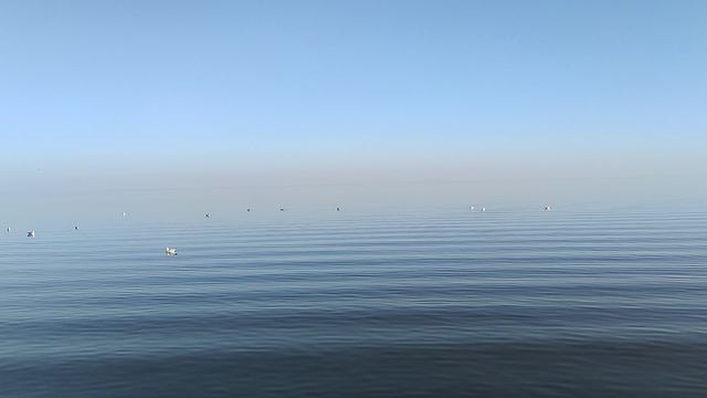 Азовское море смотреть онлайн