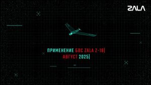 Ланцет. Итоги лета.