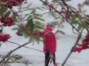 Поезд бежит, летит вперёд