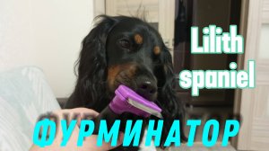 Дешеддер, он же Фурминатор, для собак и кошек