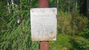 Сплав по Суле. Часть 14: Печорский тракт от 65.096109 48.944296 до Дедковой Россохи.