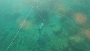 Тренировка в Будве.Адриатическое море.Глубина непонял сколько.